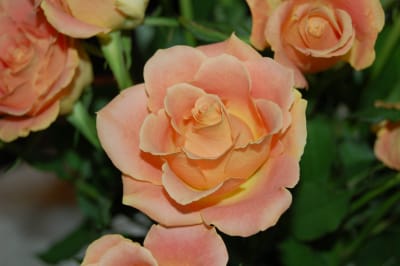 For en deilig sommerdag