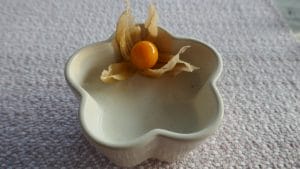 Kokospudding