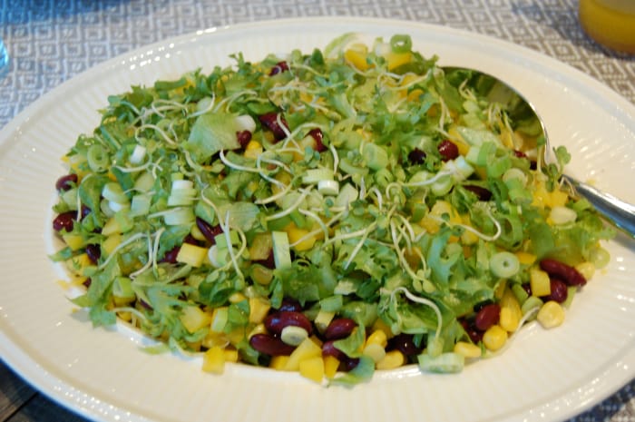 Salad with beans, corn and radish sprouts