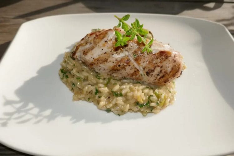 Weekly menu for week 50 Mushroom risotto with chicken fillet