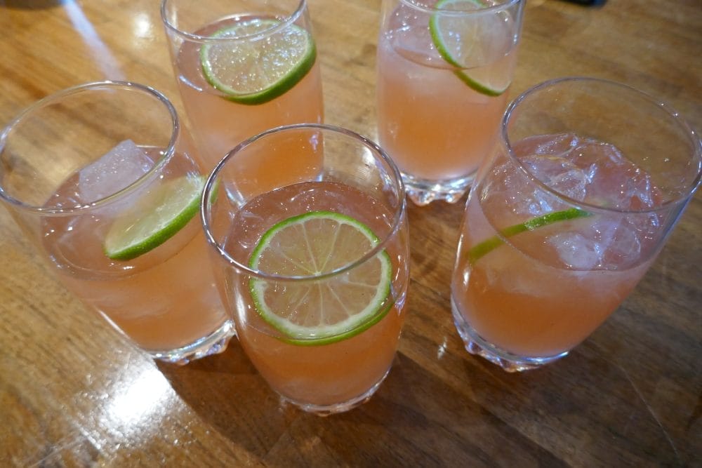 Rabarbradaiquiri