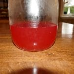 Rabarbrasirup