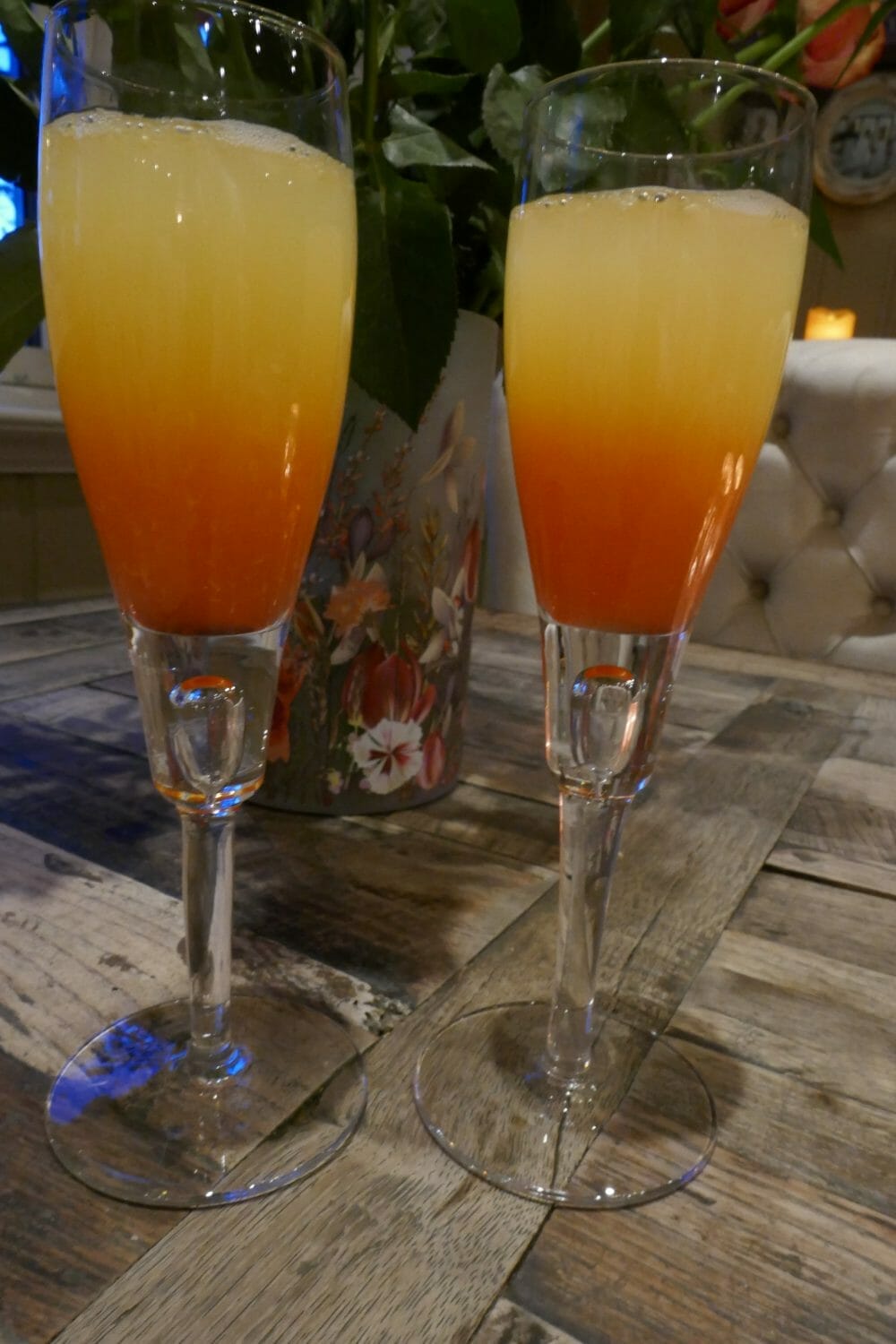 Mimosa sunrise Mimosa sunrise